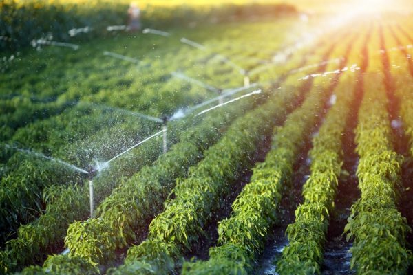 Agriculture In Modern Era: Technology Meets Farming - Agriculture ...